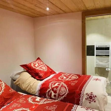 Spacious In With Ski-storage דירה Châtel