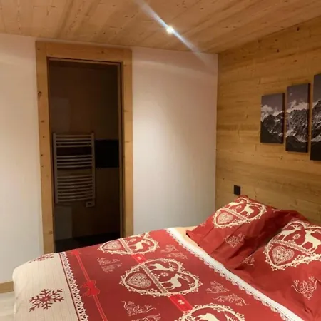 Spacious In With Ski-storage דירה