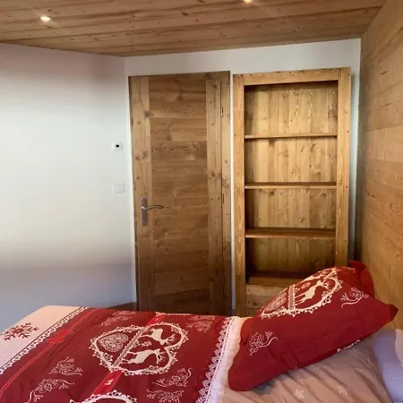 Spacious In With Ski-storage דירה Châtel